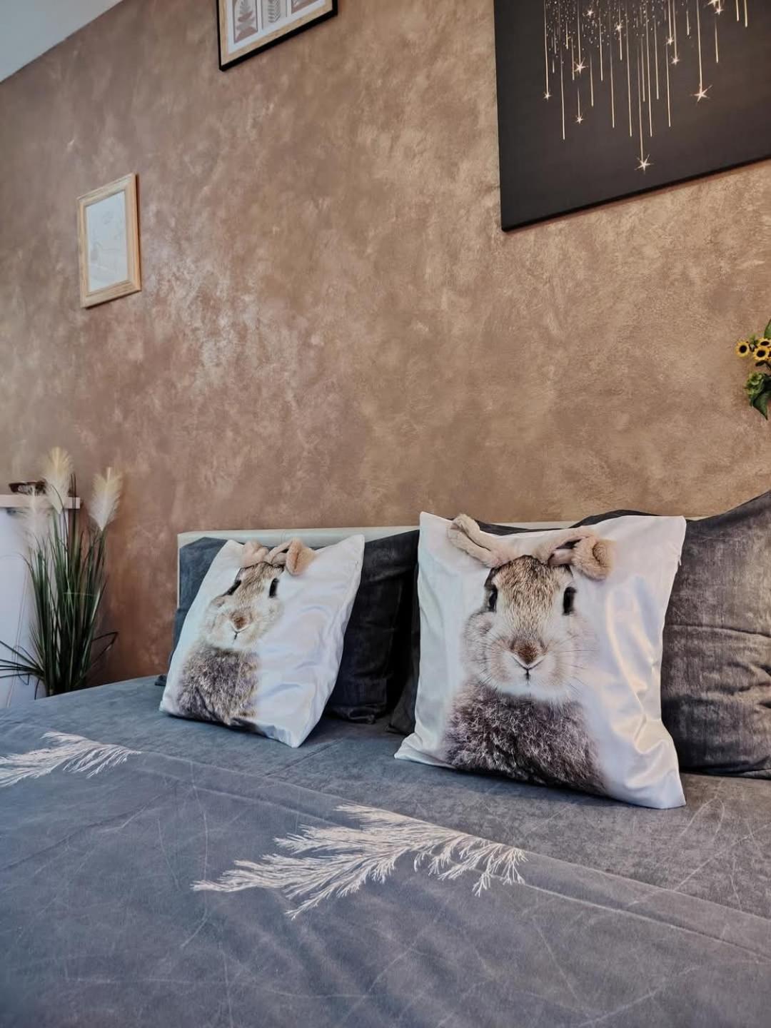 Apartment Bg Vrnjacka Banja