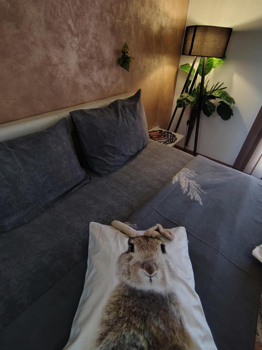 Bg